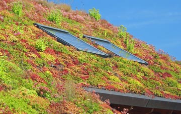 New Rackheath living roof systems